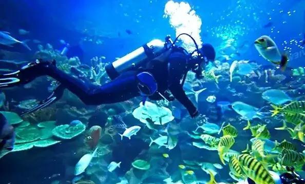 东方证券盘中异动 下午盘快速上涨5.23%